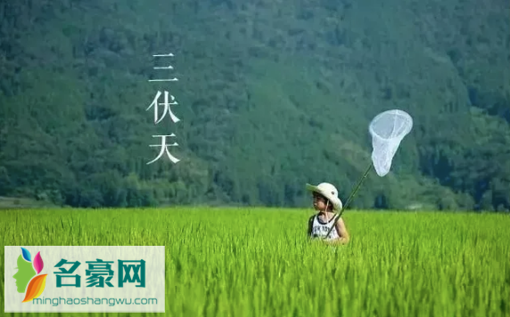 2022年三伏天哪几天最热2