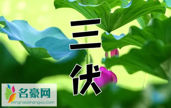 2022初伏中伏末伏是什么时间2