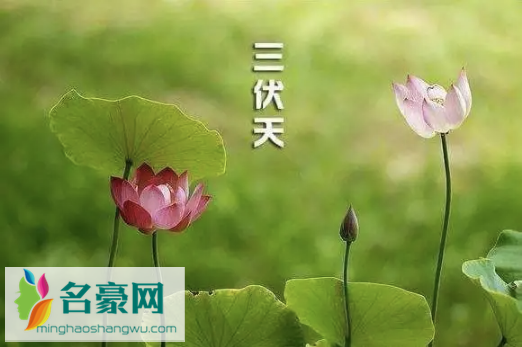 2022初伏中伏末伏是什么时间1