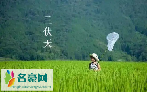 2022年三伏天是几月份到几月份3