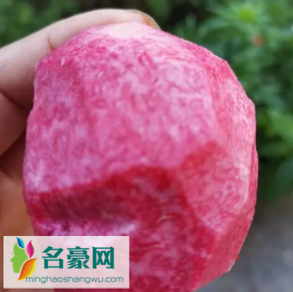 血桃没熟果肉是不是白的2