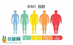 bmi指数男女标准是什么 BMI指数男女标准计算公式