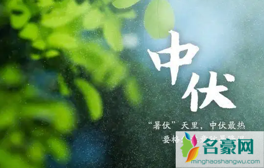 2022年中伏是几月几号3
