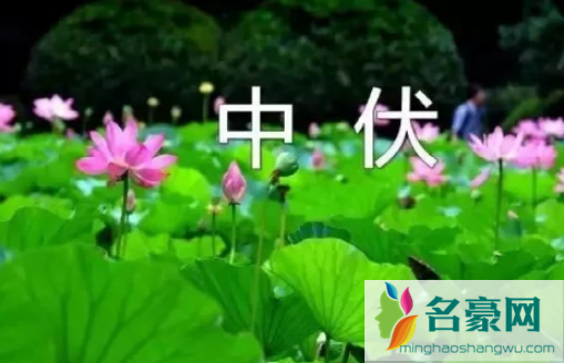 2022年中伏是几月几号1