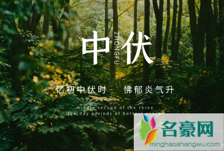 2022年中伏有多少天2