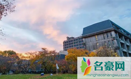 双一流大学是什么意思1
