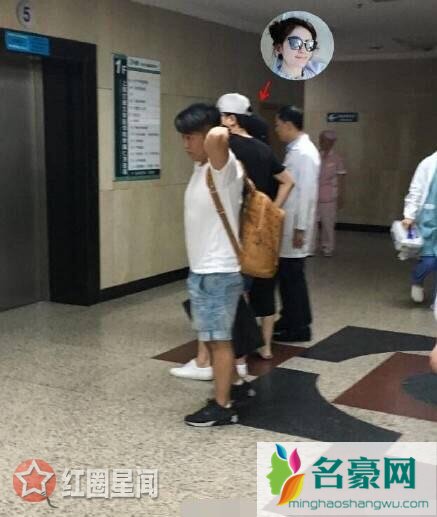 揭秘谢娜为什么不生孩子