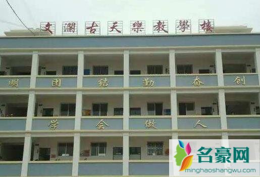 古天乐为什么要建学校