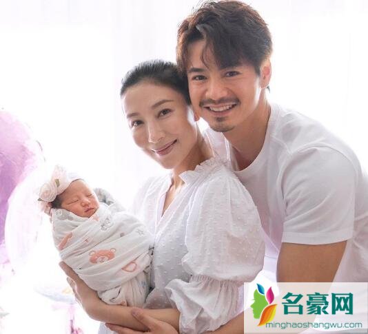 杨怡怎么不演戏了