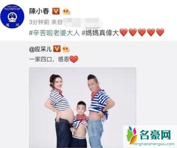应采儿生二胎了么