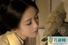 最深情的告白情话（如此深情只为了你）