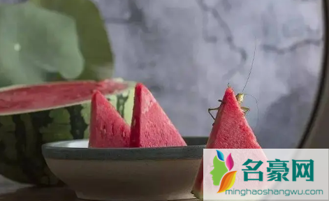 为什么三伏天排寒湿最好1
