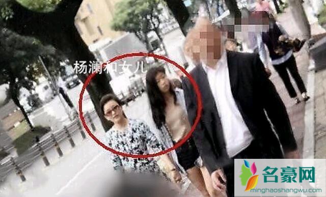 杨澜