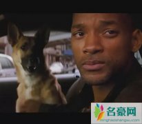 我是传奇讲的什么故事 男主最后到底有没有死