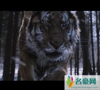大虎结局什么意思 老虎为什么要和千满德同归于尽