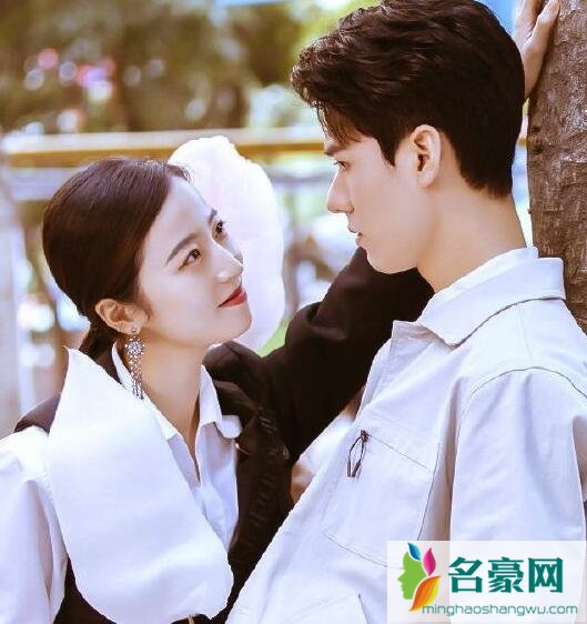从结婚开始恋爱有小说吗