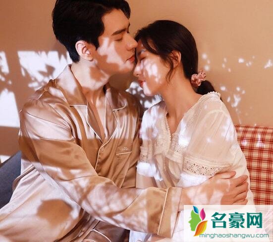 从结婚开始恋爱有小说吗