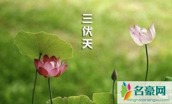 2022进伏是哪一个节气开始3