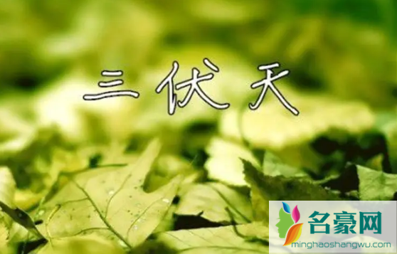 2022进伏是哪一个节气开始1