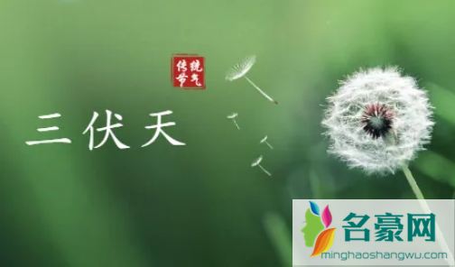 2022年三伏天几伏最热1