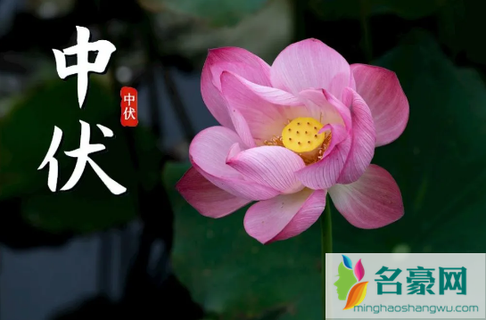 2022年几个中伏天1