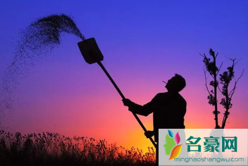 2022年10月份是秋收吗1