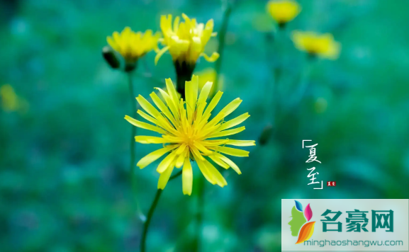 2022年夏至后几天入伏1