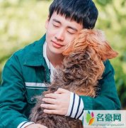 宠爱巴顿是什么品种的狗 它为什么成为了流浪狗