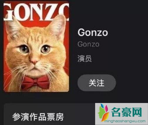 宠爱中的猫叫什么