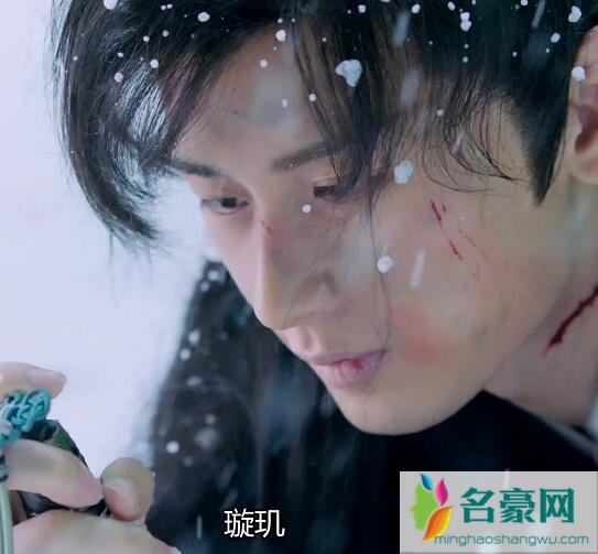 禹司凤是离泽宫宫主的儿子吗