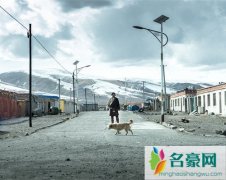 撞死了一只羊演的什么 是根据什么改编的
