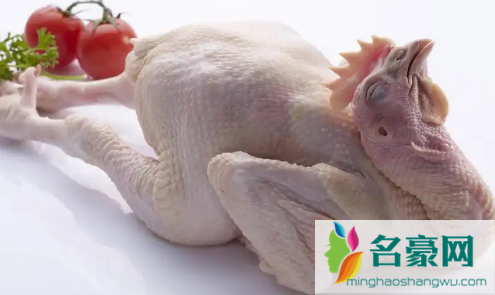 鸡得了霍乱有救吗1