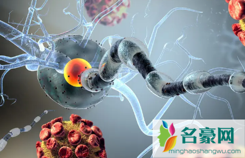 霍乱相当于现今的什么病2