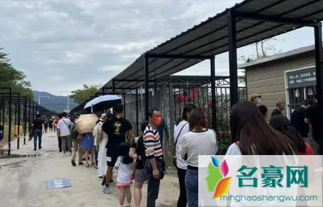 霍乱一般多少天会治愈2