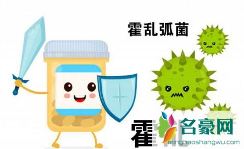 霍乱病死率是多少3