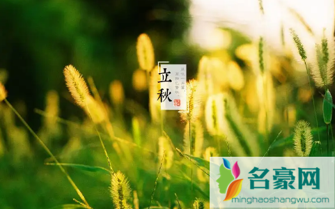2022年立秋后早晚会凉快吗3