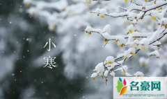 为什么小寒比大寒冷 小寒和大寒的特色食品是什么