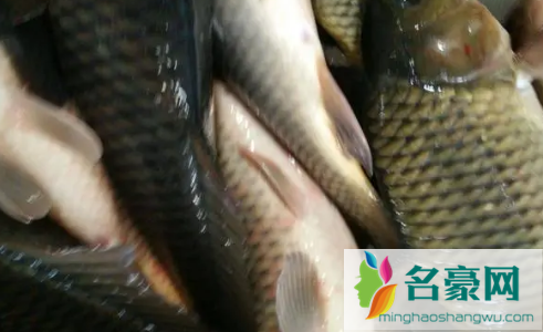 云南盘鮈鱼多少钱一斤20223