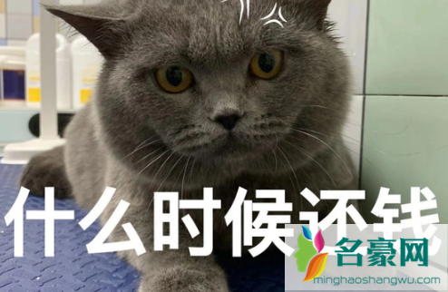 朋友欠我2000块钱不还怎么办1