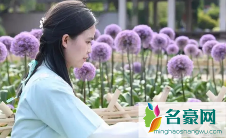 结婚葱是男方买还是女方 2