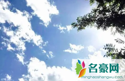 四伏天从什么时候开始2