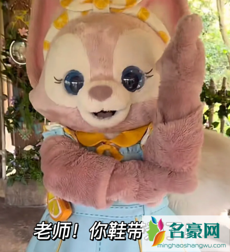 老师你鞋带开了什么梗4