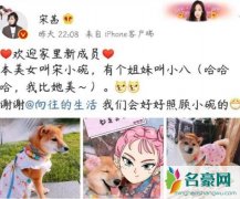 锅碗瓢盆被谁领养了 宋茜领养了狗狗碗妹只剩瓢哥