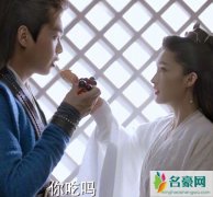 庆余年范闲什么时候知道林婉儿是鸡腿姑娘 饭碗c