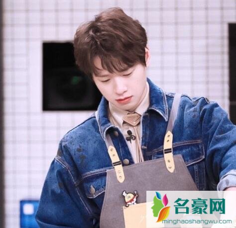 王嘉尔为什么不参加拜托了冰箱