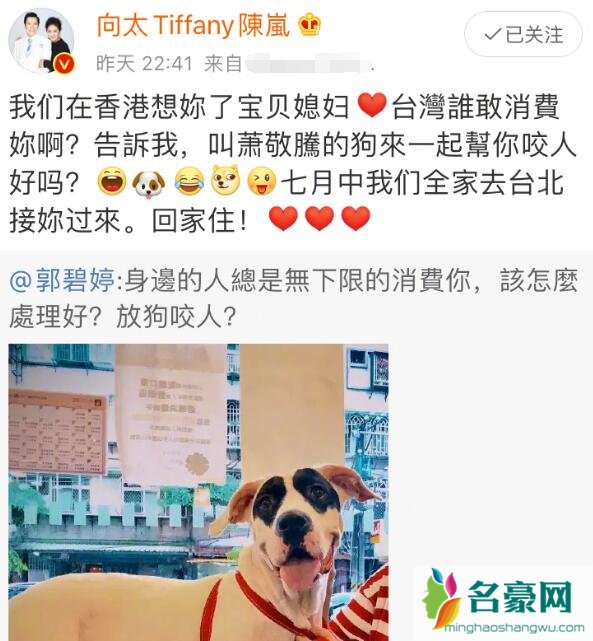 向太安慰郭碧婷咋回事