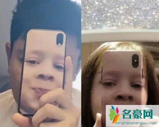 金晨贾乃亮什么关系