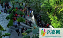 重阳节登高是早上还是晚上 重阳节登山注意什么