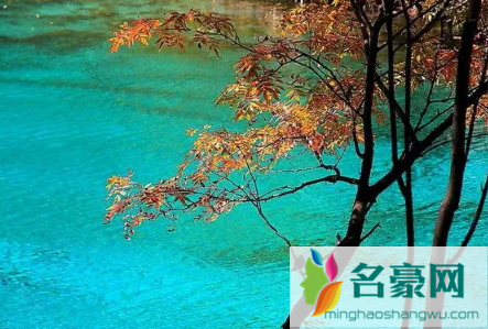 九寨沟今年国庆节开放吗20223