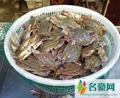 死梭子蟹吃了会有什么后果3